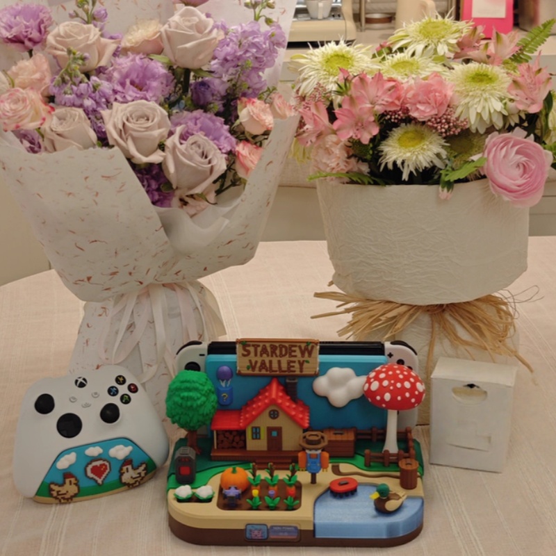 Switch Dock Stardew Valley Far - đánh giá và giá Gaming Consoles
